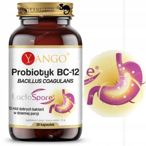 Yango PROBIOTYK BC-12 Bakterie Bacillus Coagulans